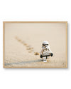 Stormtrooper Walking