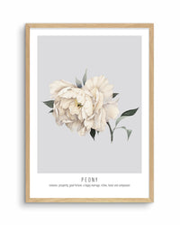 PEONY - GREY