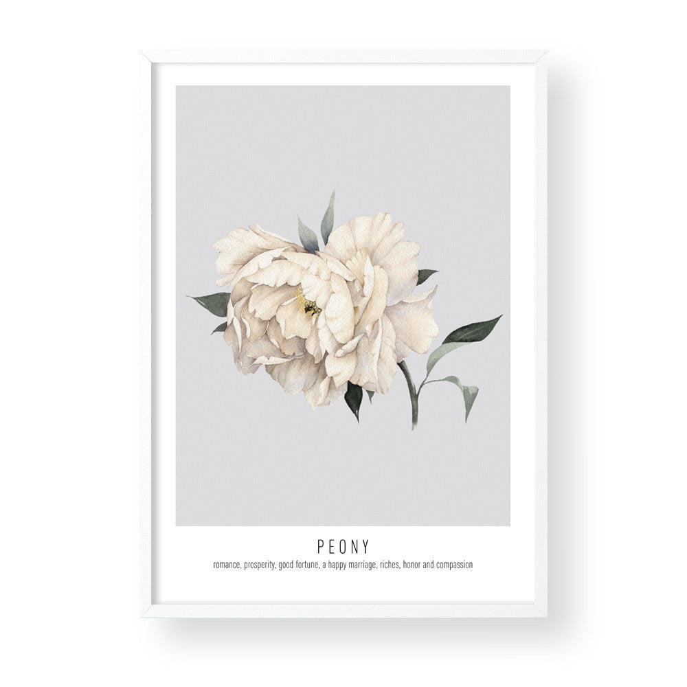 PEONY - GREY