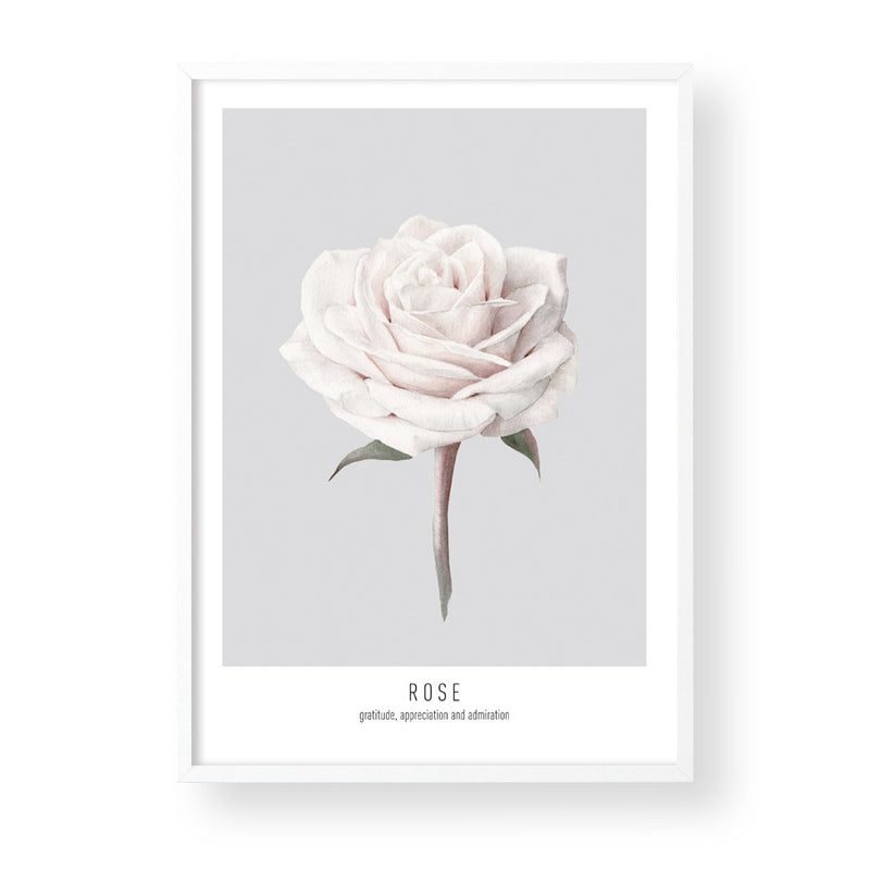 ROSE - GREY