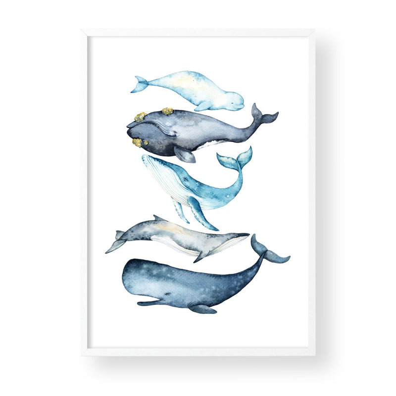 WHALES OF THE SEA